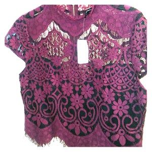 Lace Burgandy Top with Gold Zipper on back